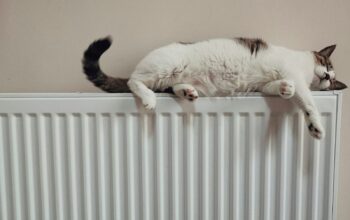 Fernox fűtési rendszer átmosás: Eurolikvid Kft. szakértői megoldása